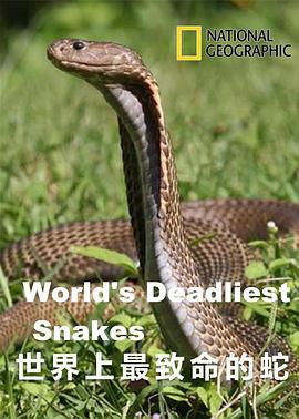 世界上最致命的蛇 第01集