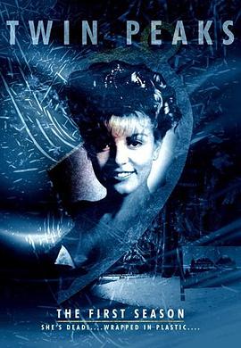 双峰第一季 第01集