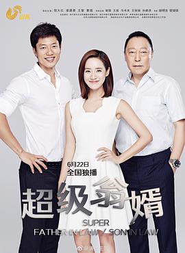 超级翁婿 第29集