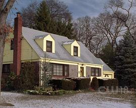 人人都爱雷蒙德第九季 第03集