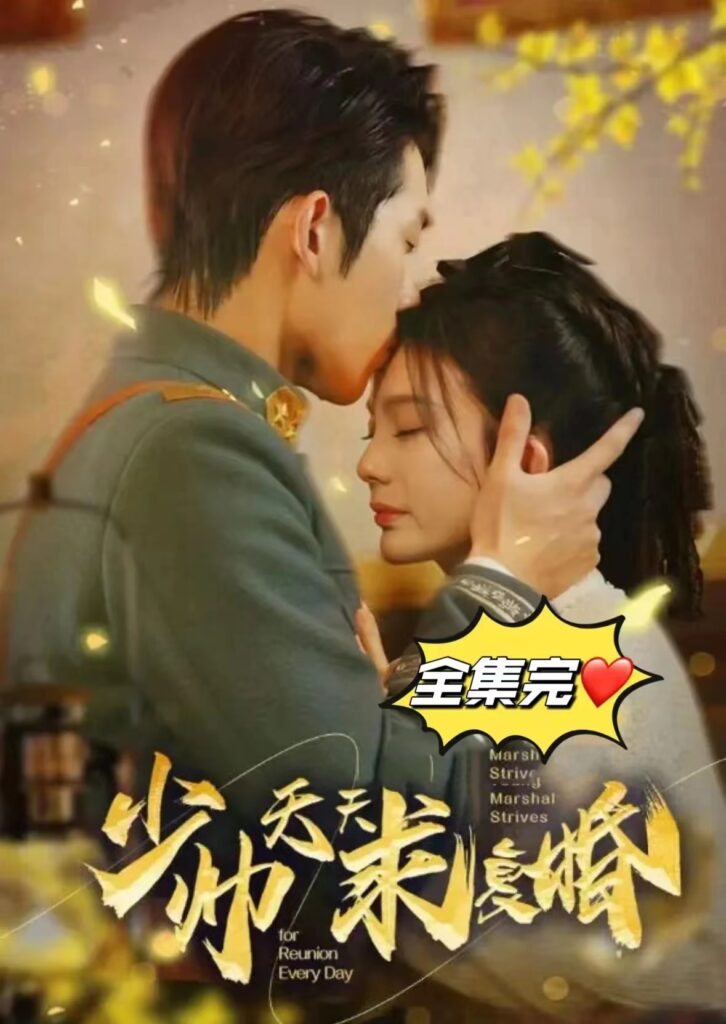 少帅天天求复婚 21-40集