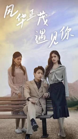 风华正茂遇见你 41-60集