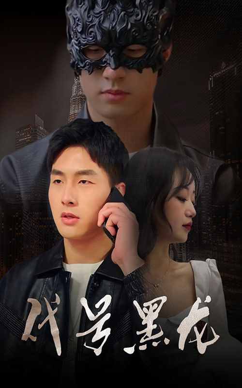 代号黑龙 21-40集