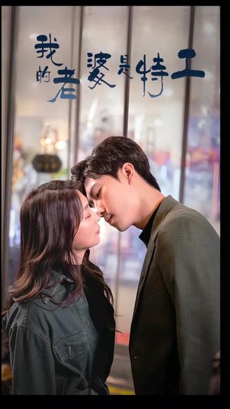 我的老婆是特工 21-40集