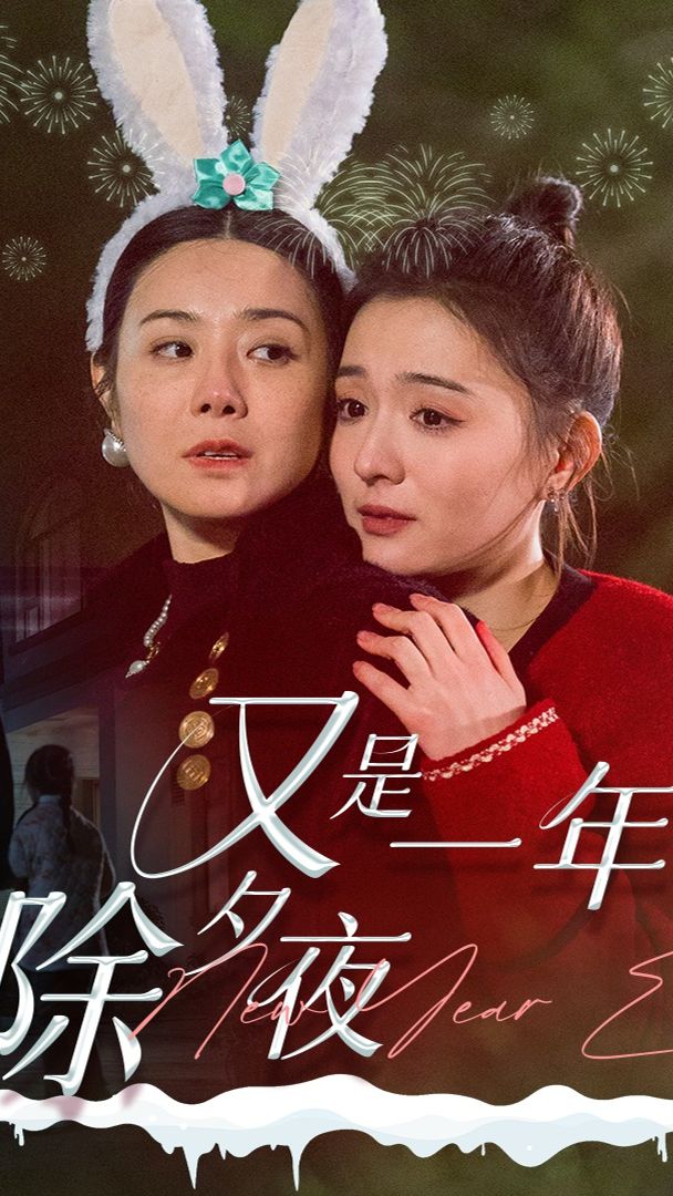 又是一年除夕夜 21-40集