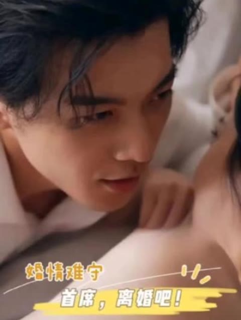 婚情难守：首席，离婚吧 41-60集