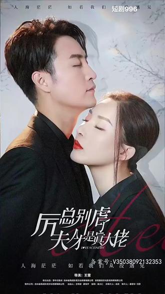 厉总别虐了，夫人才是真大佬 21-40集