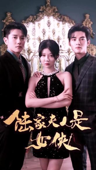 陆家夫人是女侠 41-60集