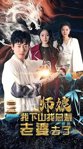 师娘，我下山找总裁老婆了 21-40集