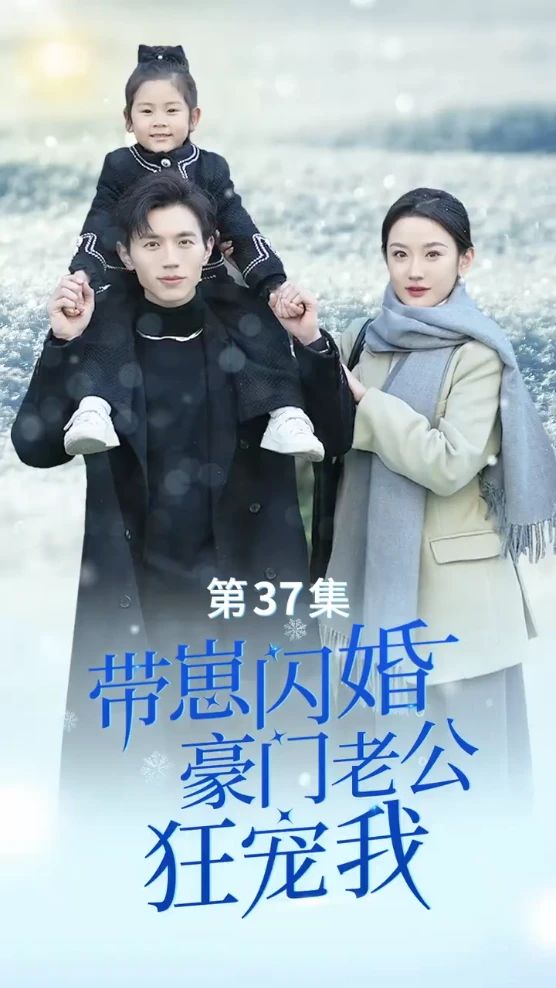 带崽闪婚，豪门老公狂宠我 16-30集