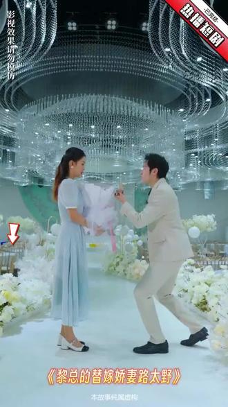 黎总的替嫁娇妻路太野 11-30集