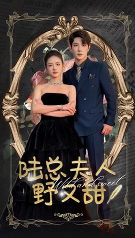 陆总夫人野又甜 全集(大结局)