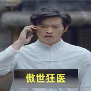 傲世狂医 第02集
