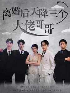 离婚后天降三个大佬哥哥 全集(大结局)