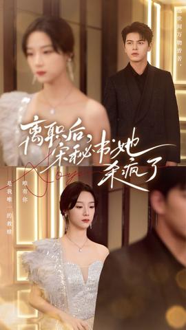 离职后，宋秘书她杀疯了 全集(大结局)