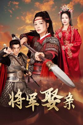 将军娶亲 第08集