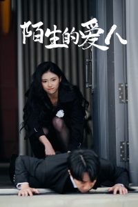 陌生的爱人 全集(大结局)