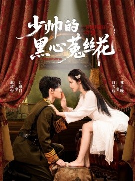 少帅的黑心菟丝花(全集)