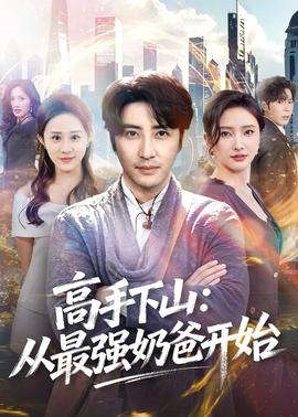 高手下山：从最强奶爸开始(全集)