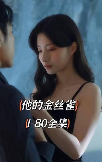 他的金丝雀 第04集