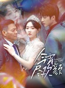 今宵尽欢颜 第17集