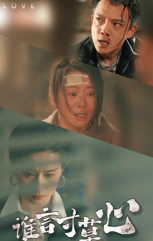 谁言寸草心 第09集