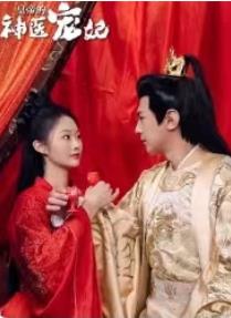 皇帝的神医宠妃 第15集