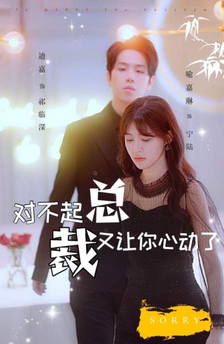 对不起总裁又让你心动了 第85集