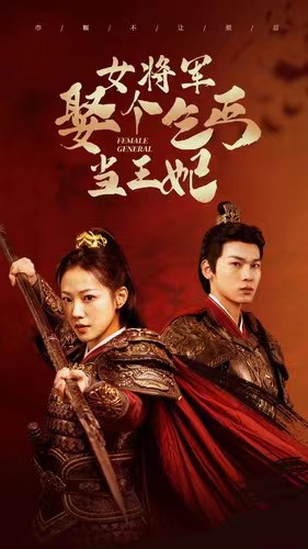 女将军娶个乞丐当王妃 第13集