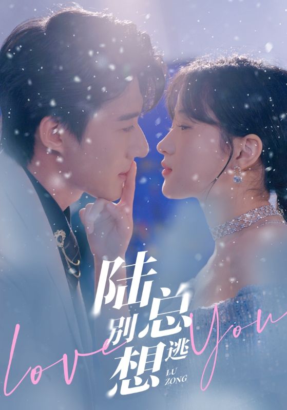 陆总别想逃 第02集