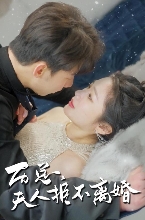 历总，夫人拒不离婚 第03集