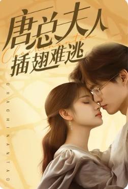 唐总夫人插翅难逃 第02集