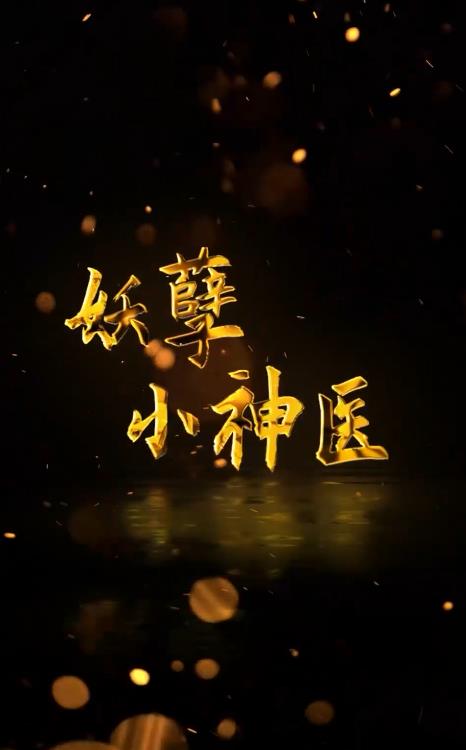 回村小伙是侠医 第10集