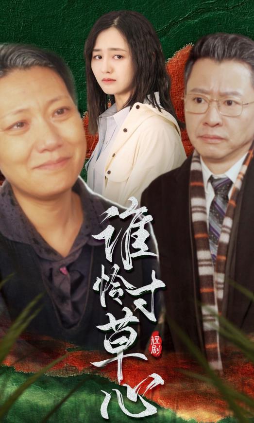 谁怜寸草心 第40集