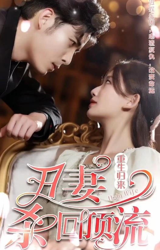 重生归来丑妻杀回顶流 第04集