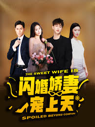 闪婚娇妻宠上天 第04集