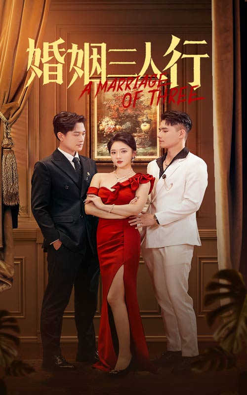 婚姻三人行 第03集